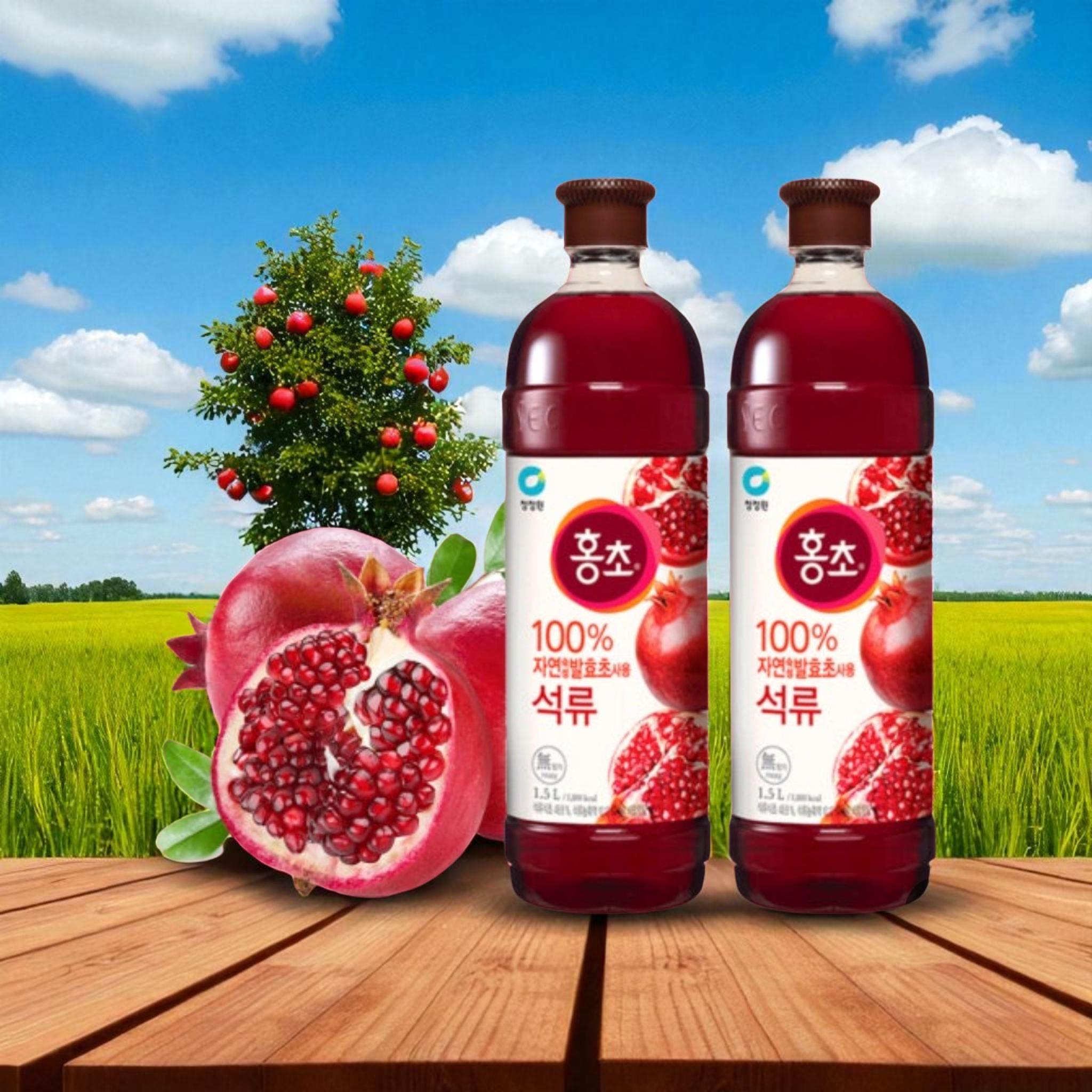 석류홍초 야외 촬영
